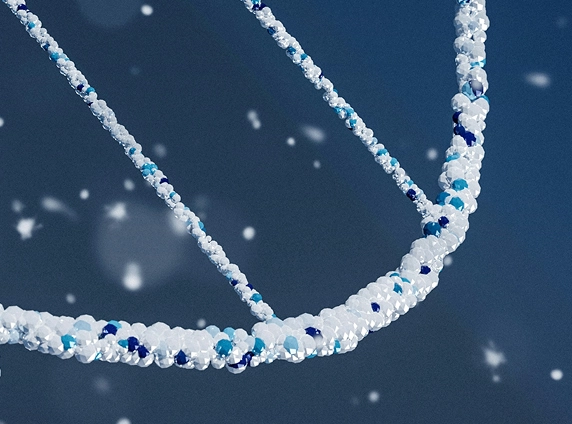 The Cell2Cure core technology has been granted patent rights in Canada